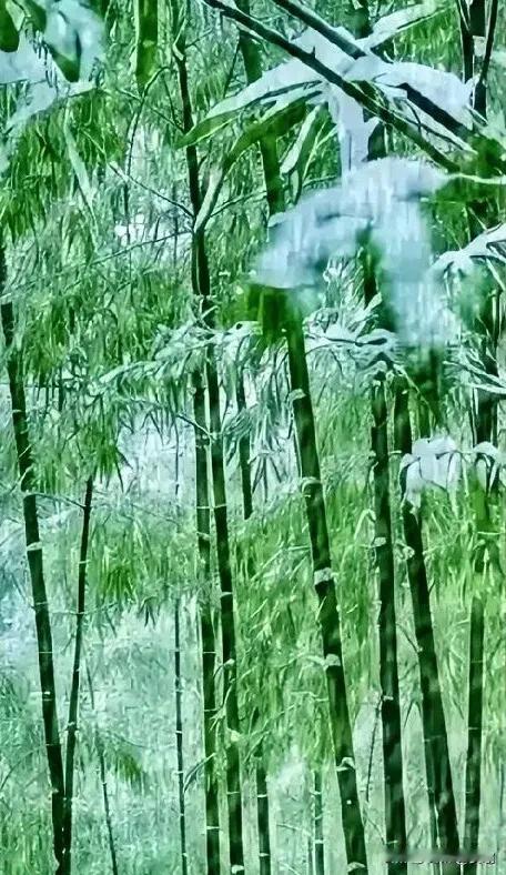 上联:瑞雪纷飞迎春到下联:金风浩荡送福来横批:五福临门