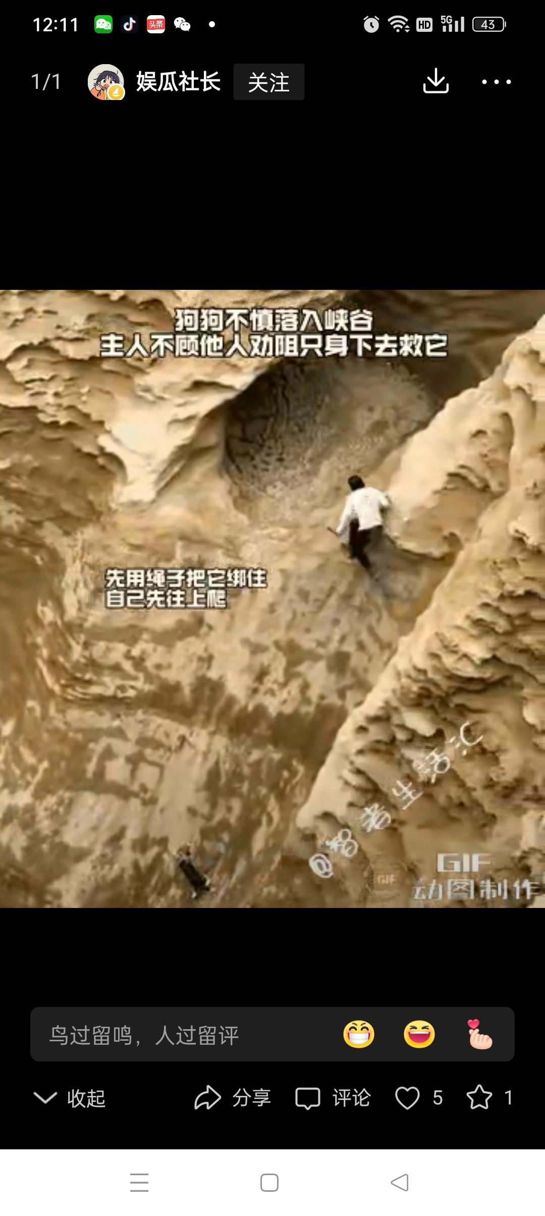 “暖心！”狗子跟着主人外出游玩，却不慎掉进了峡谷中，因峡谷太深了，狗子怎么努力也