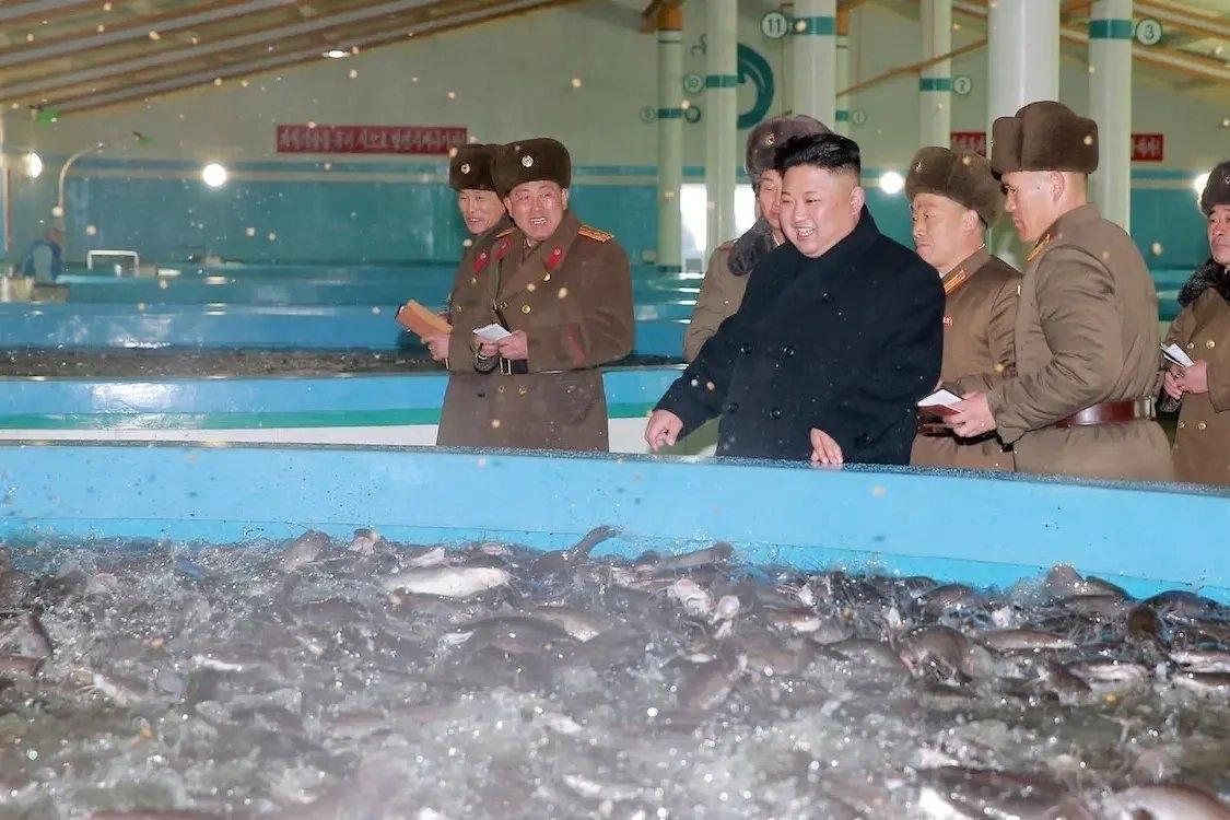 朝鲜已下令黄海南道的多家养鱼场终止与……合作伙伴的合同，并将生产转移给平壤指定的