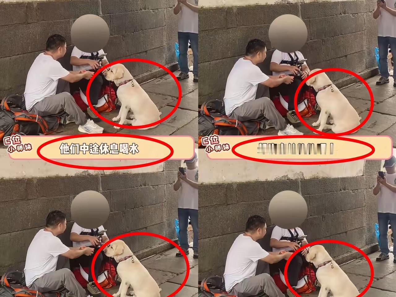 全国的导盲犬只有几百条，而全国有一千多万盲人。这两个竟然能搞到一条？这是多么不容