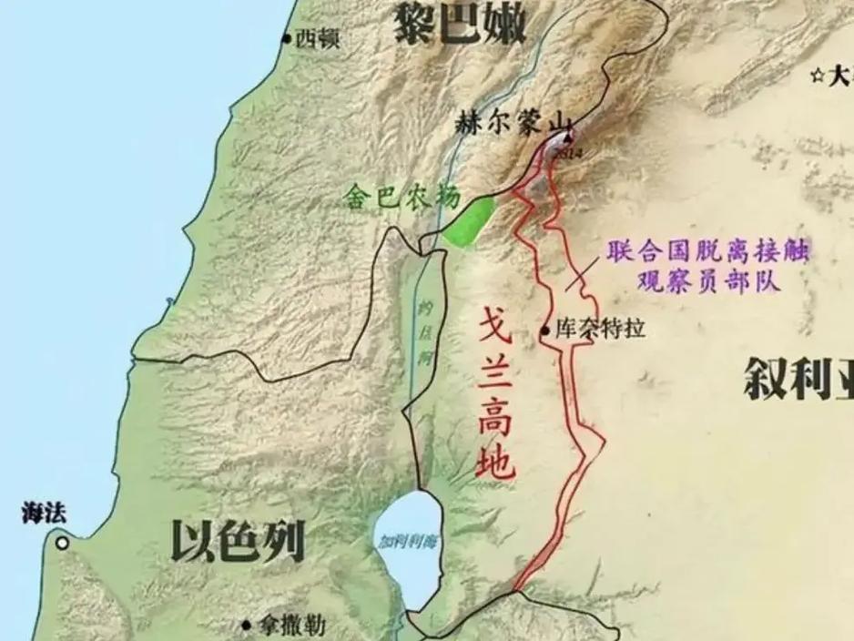 “别人都不敢说，中国代表直接把话挑明了！当着全世界的面，他不绕弯子、不打太极，一