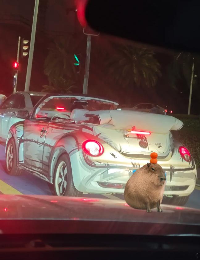 这漫画风的汽车，车衣都很别致！​​​