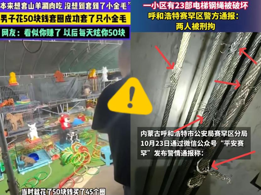 总算抓了！呼和浩特这俩37岁男女，真是把“胆大包天”刻在骨子里了！居然偷
