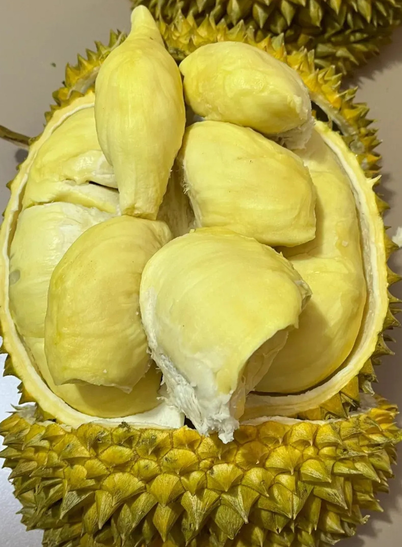 最近杭州一桩家庭矛盾，在网上炸开了锅！35岁的全职妈妈王女士，本想趁着榴莲价格亲