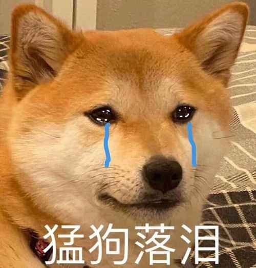 我有一个兄弟，今天给女朋友拍照，哇，那叫一个惨烈，被劈头盖脸的骂，骂的亲娘都快认