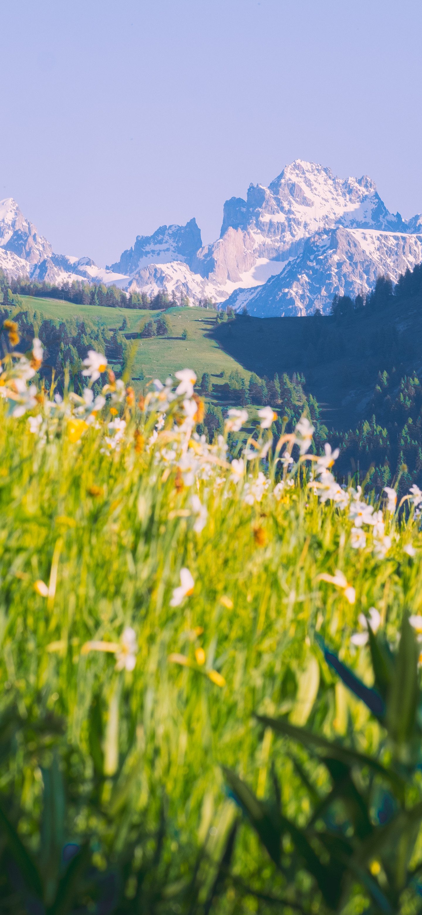 又是新的一周，大家早风景壁纸​​​