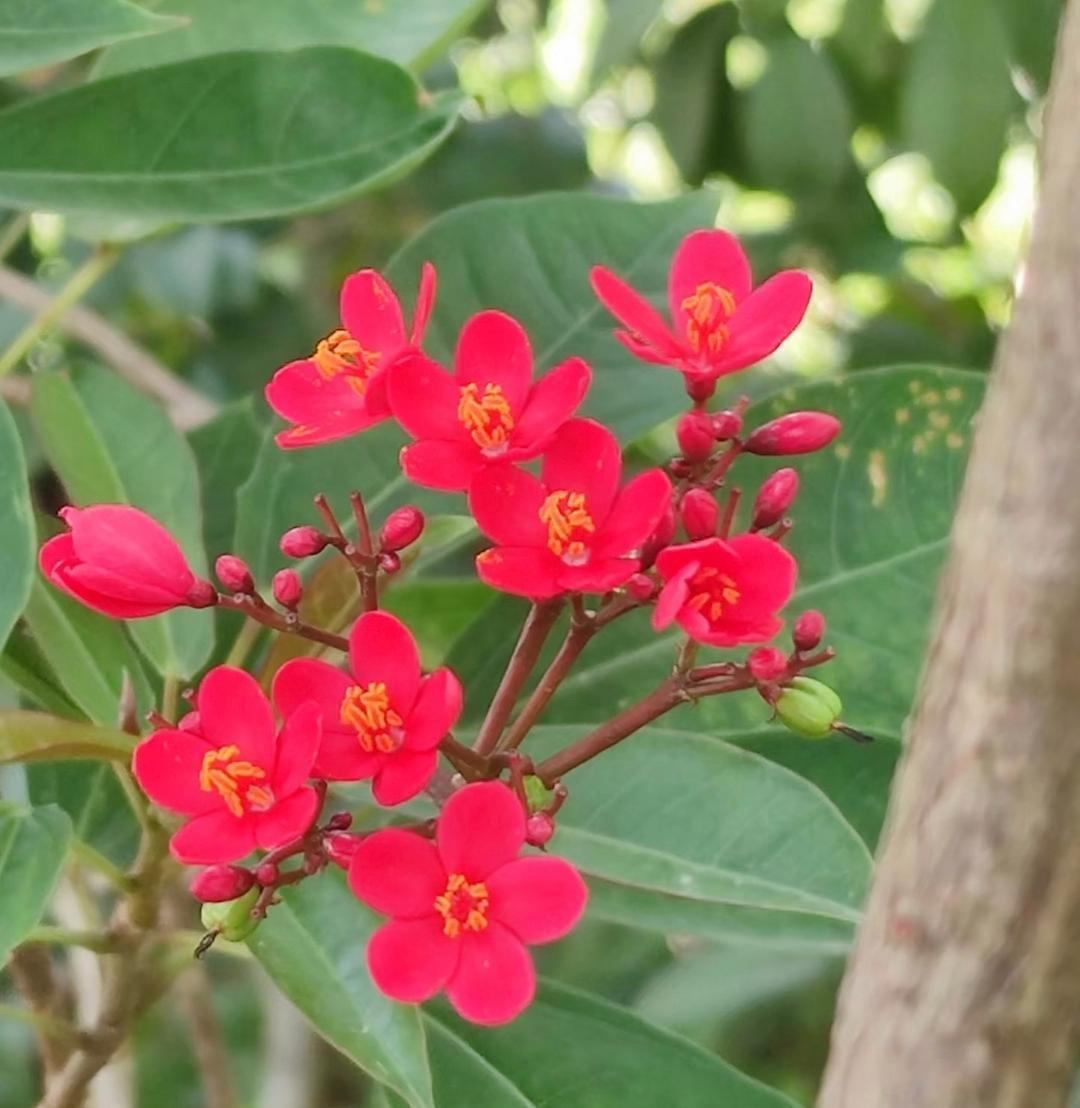 邻居大爷的家暴往事我邻居大爷以前就是经常家暴他老婆，而且喝酒必打，他老婆身