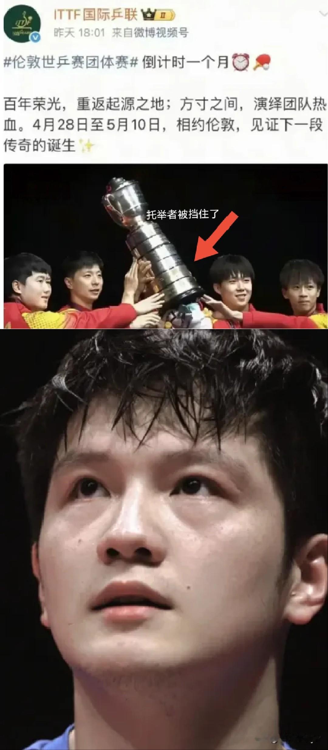 ITFT国际乒联格局小了！人家小胖都自愿放弃参赛资格了。出张海报都不让人