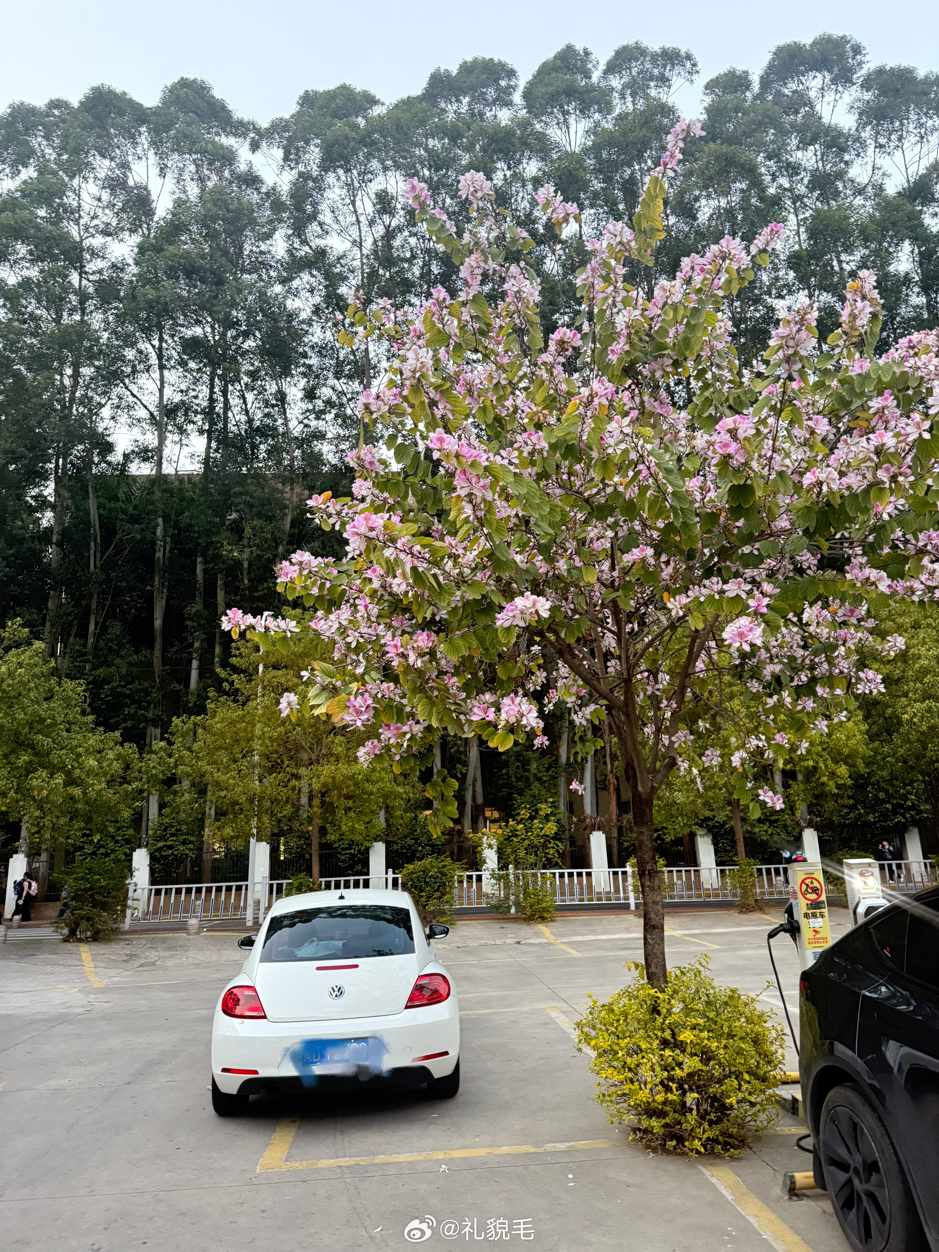 不搬了，打算把隔壁租下来打通装修，已经找到设计师了。不搬的原因之一也是舍不得这个