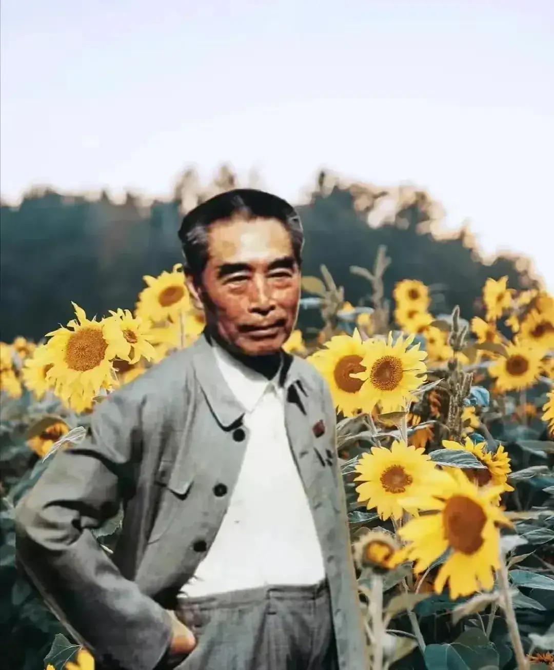 1973年，周总理陪外宾参观延安之后，想拜访一下当年的邻居杨大嫂，但村子里一个人