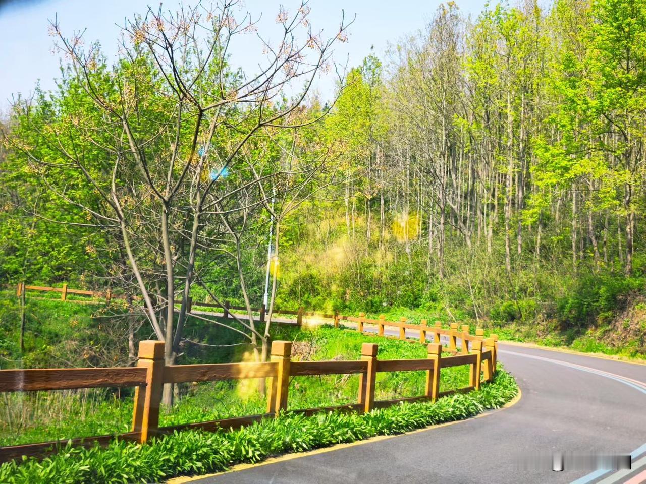 复旦大学教授陈果说:“如果你发现嫁错了人，还生了孩子，又想离婚，又舍不得孩子，千