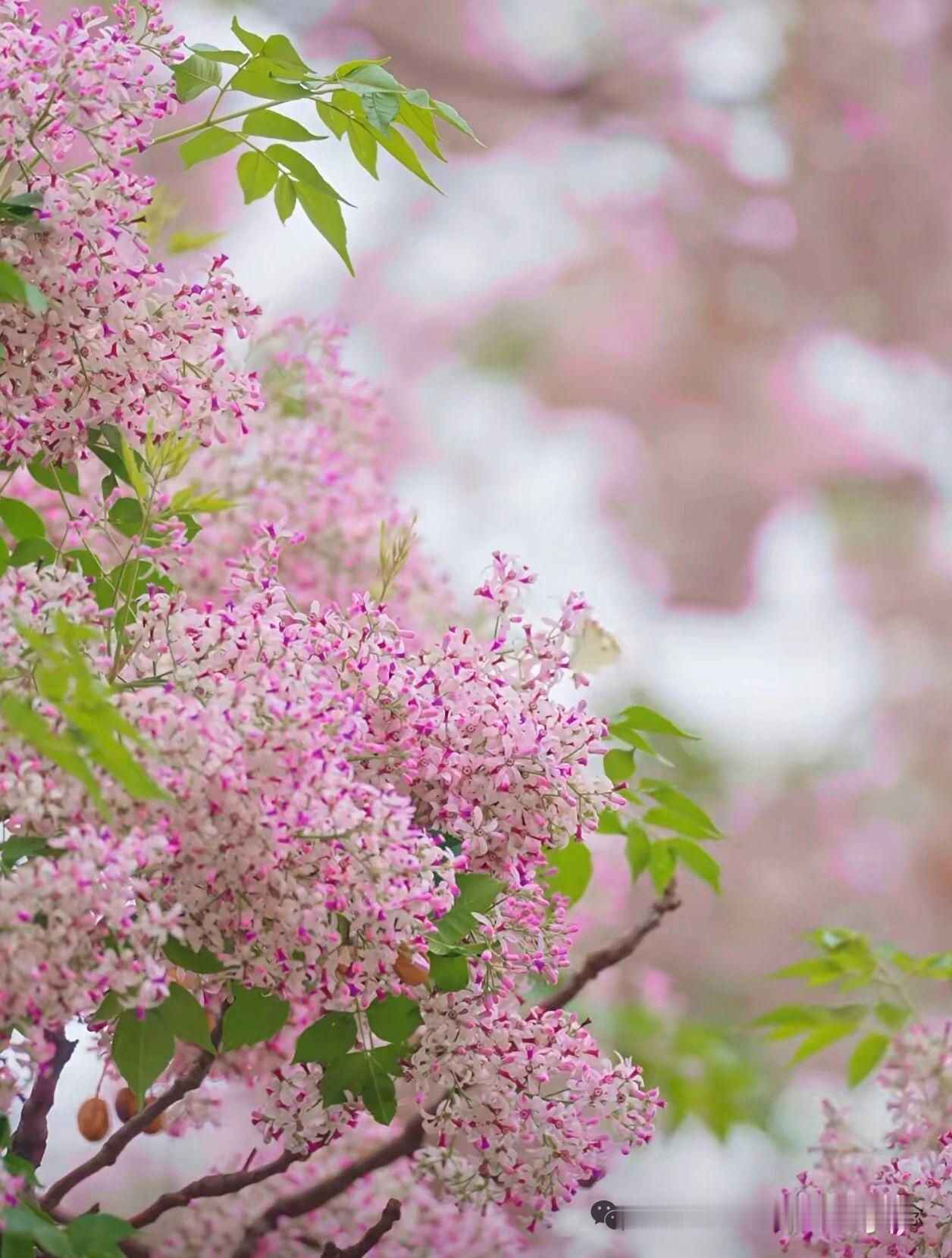 天蝎座有多么偏执呢，这么说吧，如果她们讨厌一个人，她们会连同讨厌跟这个人有