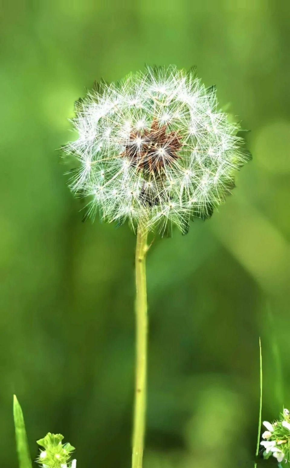 手机壁纸生活可以五颜六色，但不能乱七八糟，不论何时都要记得，生活的目标是健康和快