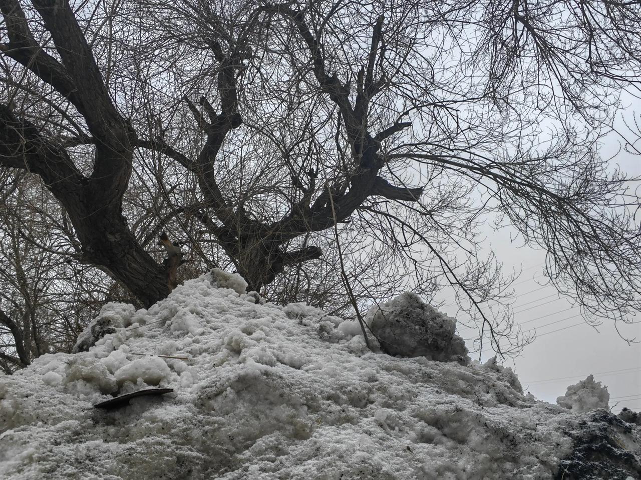 乌鲁木齐本周天气十分反常，不是风就是雪，来来回回循环往复。就拿今天来说，上午