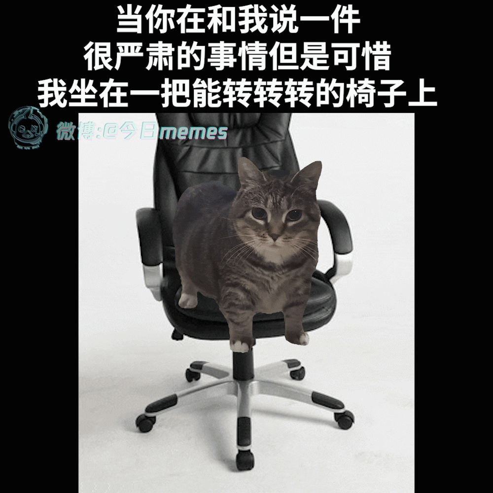 你继续今日meme今日memes