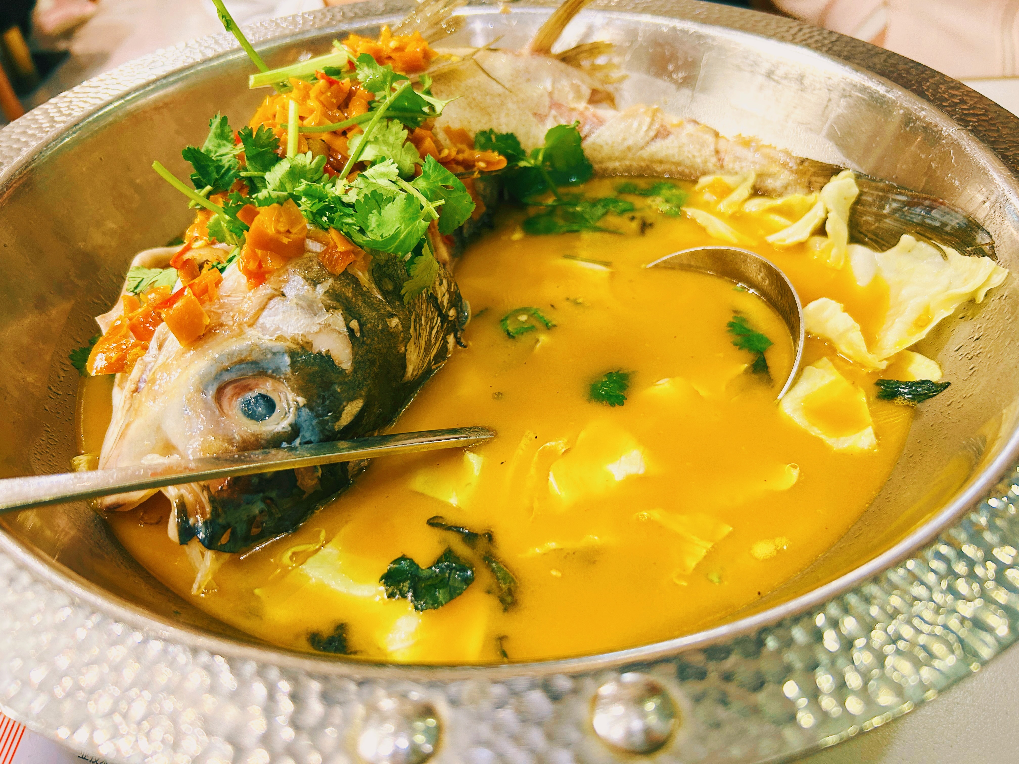 真的很爱吃鱼🐟