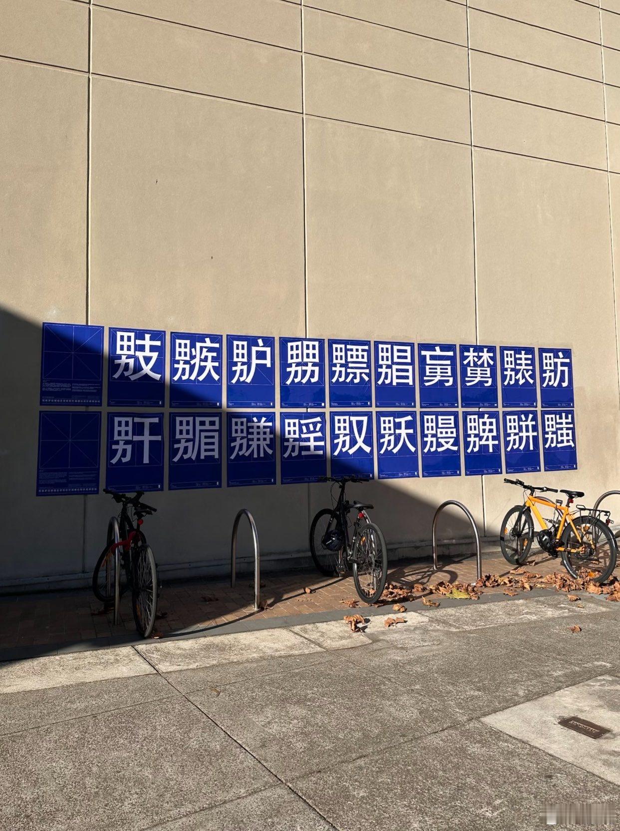 听说这是墨尔本某大学的打卡地……