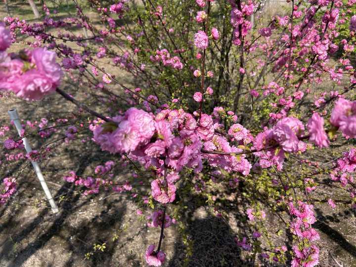 现在出轨真的很普遍嘛？看一些平台上说出轨任何人都会出轨，如果没有就是没发现现在