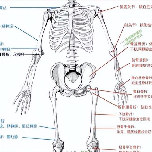 神经损伤后越练越倒退？三点总结，不改等于自残看着别人一天一个样，自己却像卡住