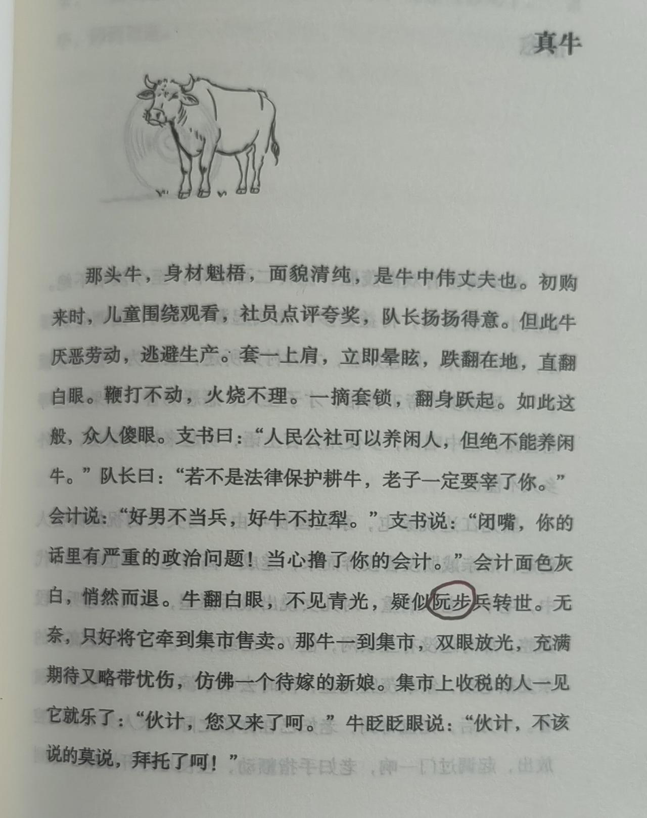 深谙生存之道牛！读莫言的微小说《真牛》，为这头牛所折服：这头牛深谙生存之道，扛