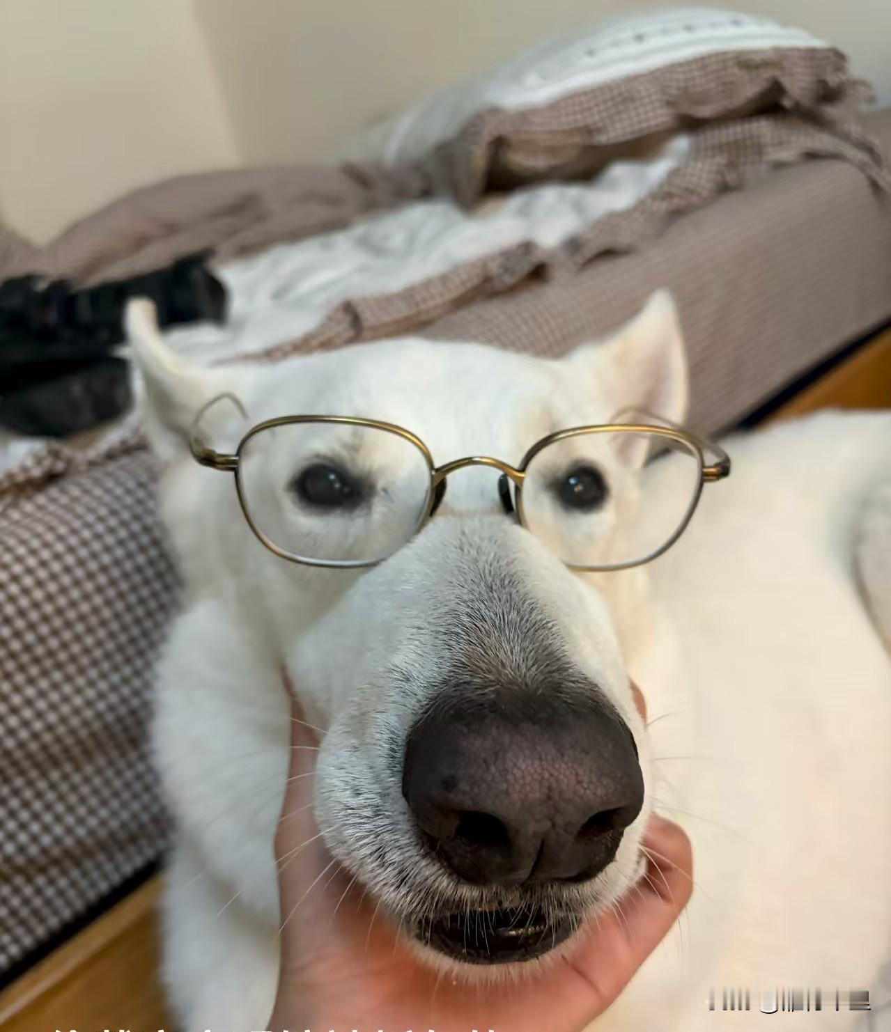 把自己当别人，是无我。把别人当自己，是慈悲。把别人当别人，是智慧。把自己当