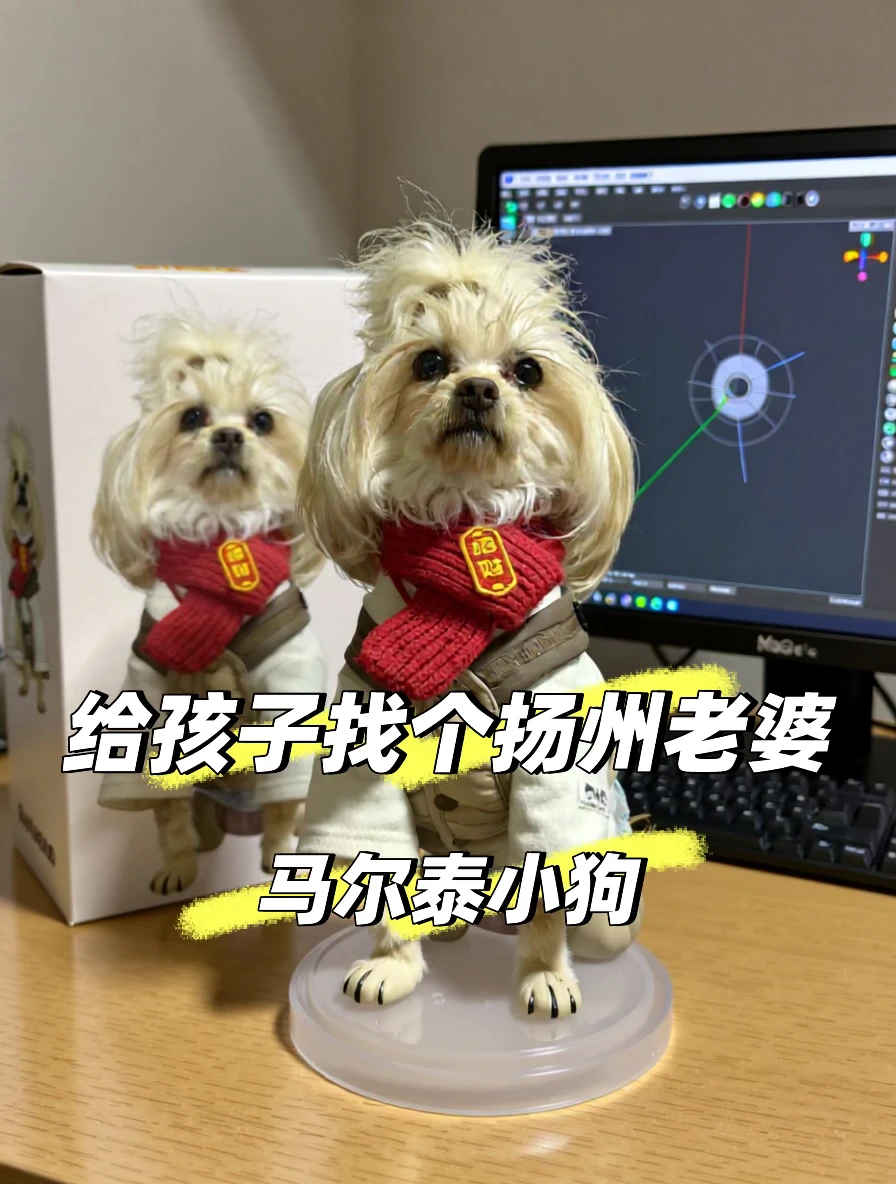 在线找老婆！！！