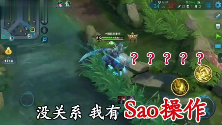 王者荣耀: 我有一只小毛驴，从来都不骑，咯哒咯哒