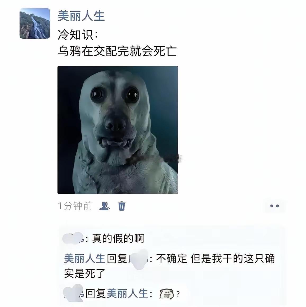 乌鸦怎么死的？真的太雷人了！看到最后那几个字，真的后悔看完了！这个人是怎么干的下