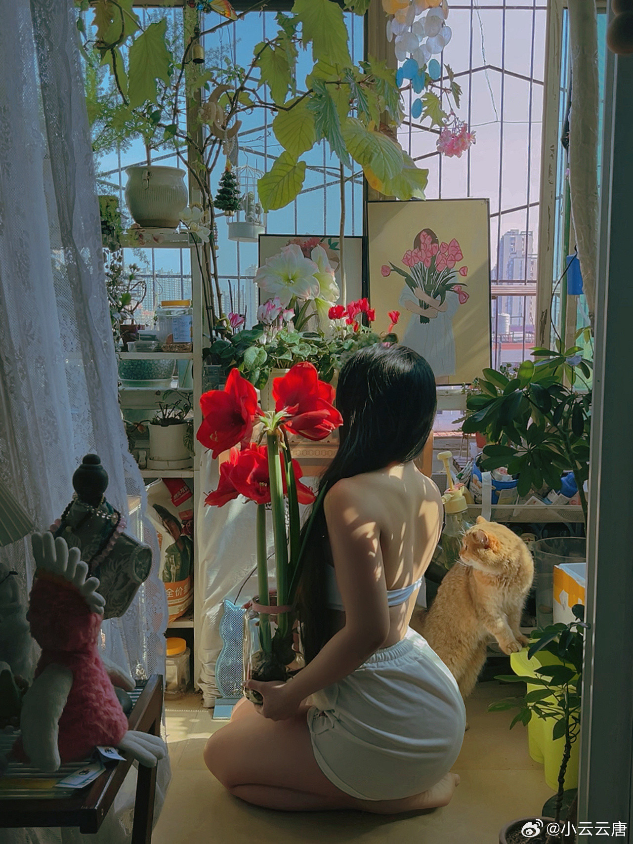 我的爱好不是肌肉男