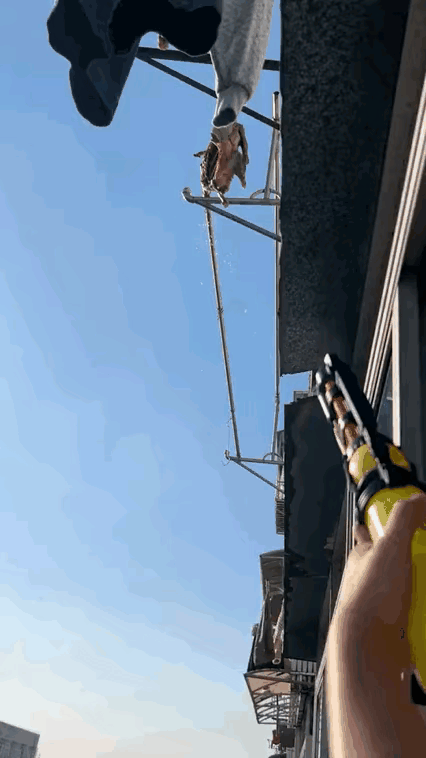 摊上这么个邻居真是无语，道德出大问题了。