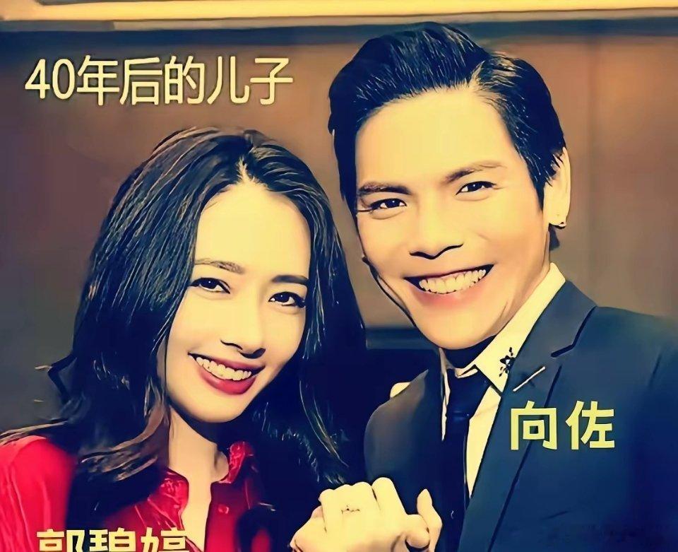 向华强和陈岚的婚纱照，向佐和郭碧婷的照片，你觉得这两对夫妻是不是就是风格有点不同