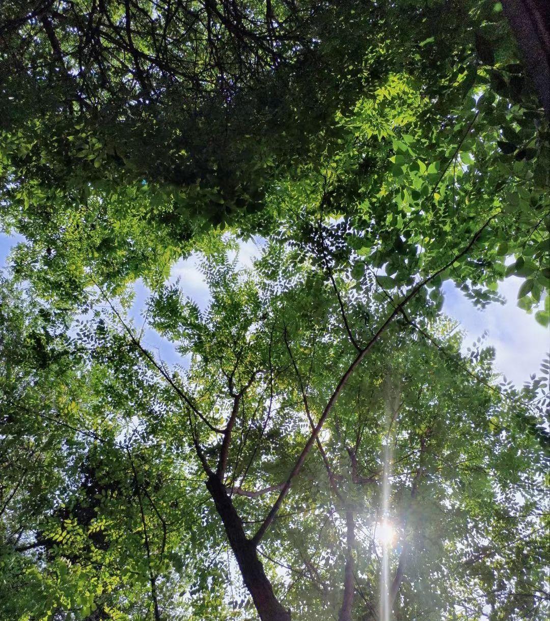 都说新高考选科，物化生是版本答案，专业覆盖率超过96%，闭着眼选都不会错。这话