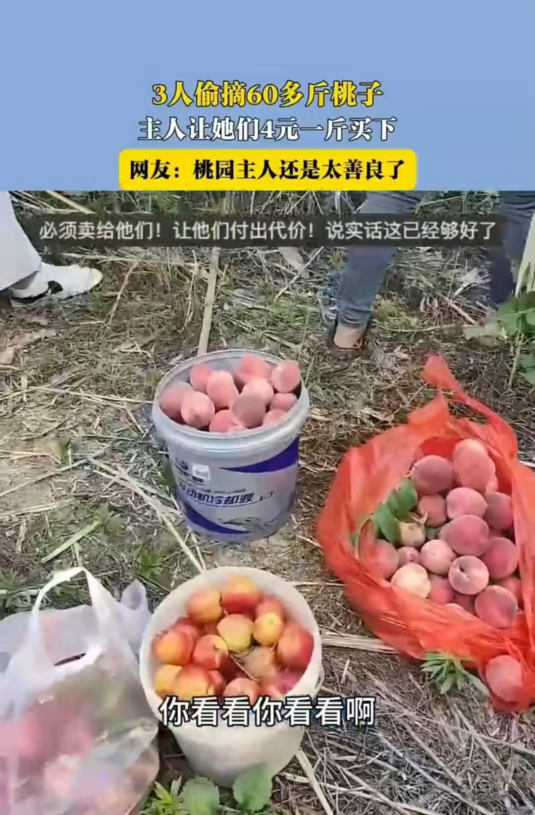 安徽，三个人偷了女子60斤桃子，她没有报警，而是以4元1斤卖给了对方。网友们却说