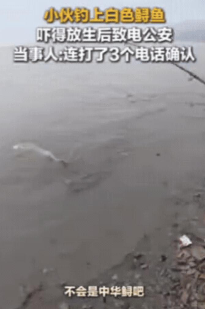 江西一小伙钓了一条大鱼，好不容易拉上岸，却吓得鱼竿都扔了！原来，这条白色的鲟鱼，