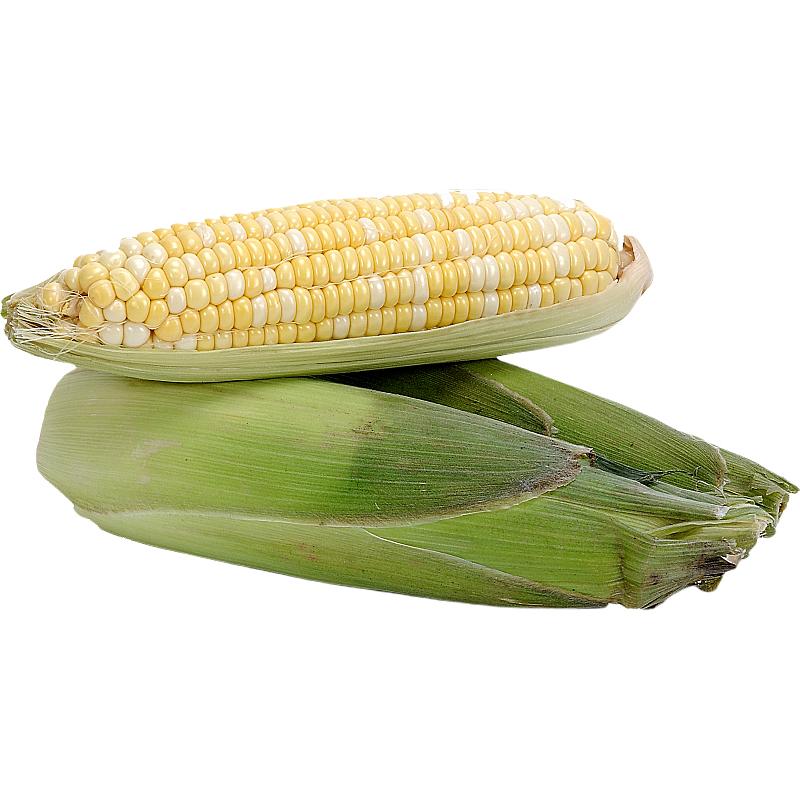 很多糖友和养生人群以为粗粮能稳血糖，结果主食全换成粗粮，血糖还是居高不下。其实是