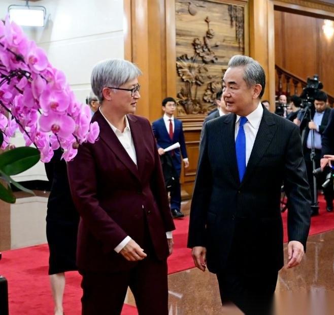 中澳外长正式谈妥，澳方当场给出关键表态4月29日，中澳两国外长举行第八轮