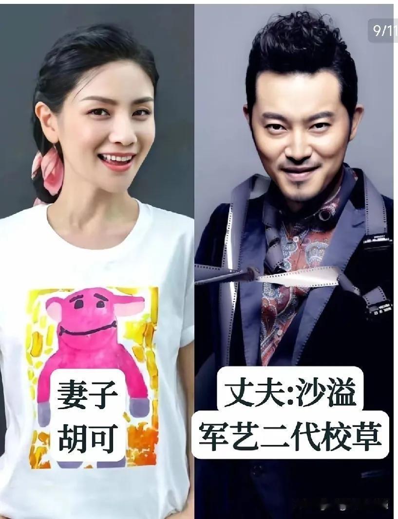 娱乐圈里这几位明星夫妻真的是郎才女貌，要颜值有颜值，要才华有才华，简直就是势均力