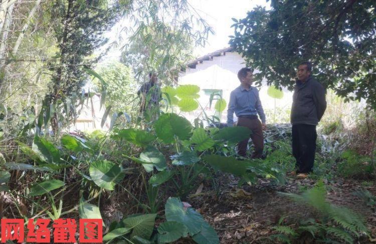 广西柳州有大叔竹林挖蚯蚓挖出宝贝。这位大叔是名钓鱼爱好者，平时就喜欢在竹林挖