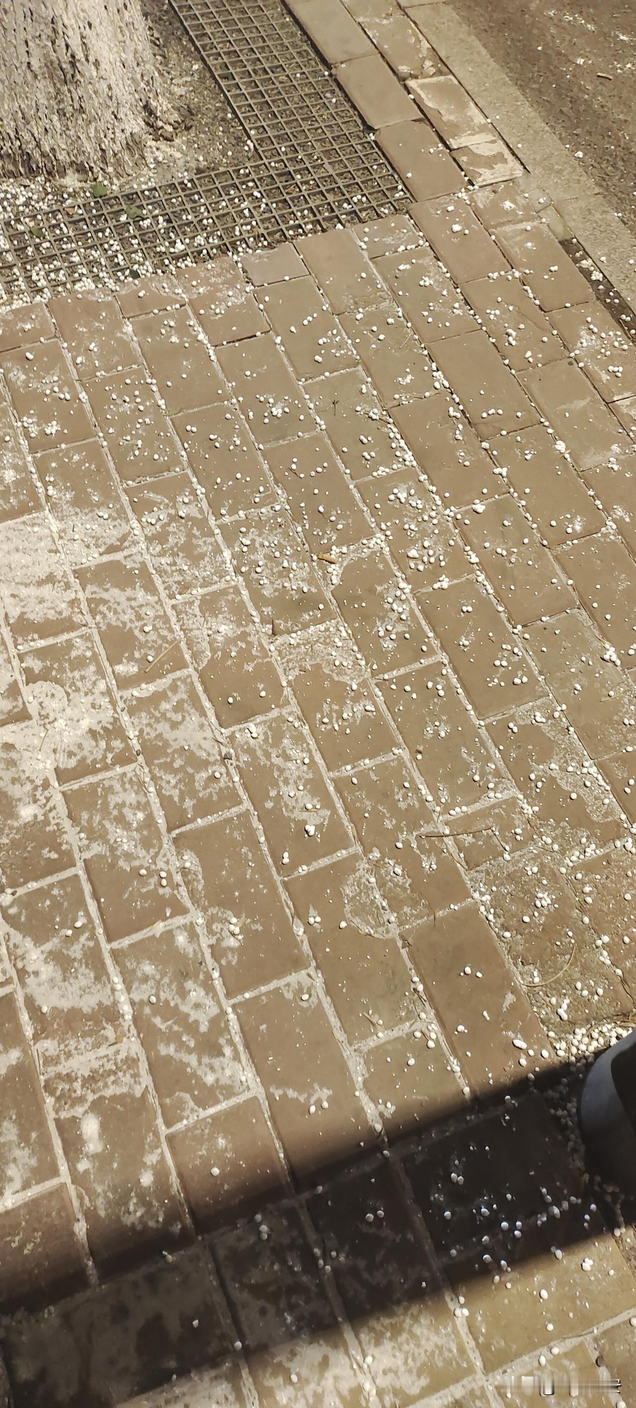 我们的大济南厉害了，雪还没来，除雪剂先撒了，欢迎大雪的到来！