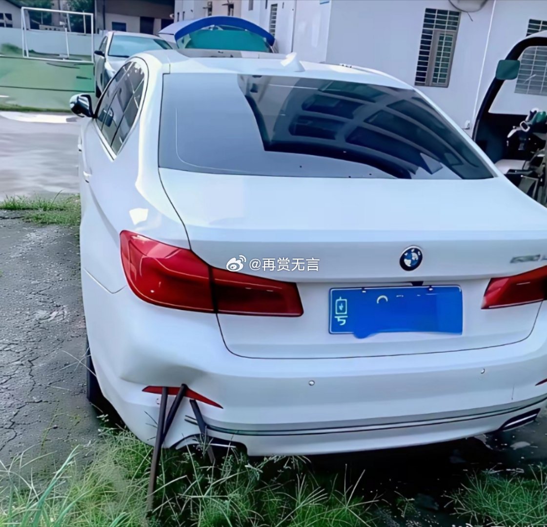 都怪物业没有割草，出来这么大的盲区。搞的我的豪车被割坏了，可以找他们索赔吗？