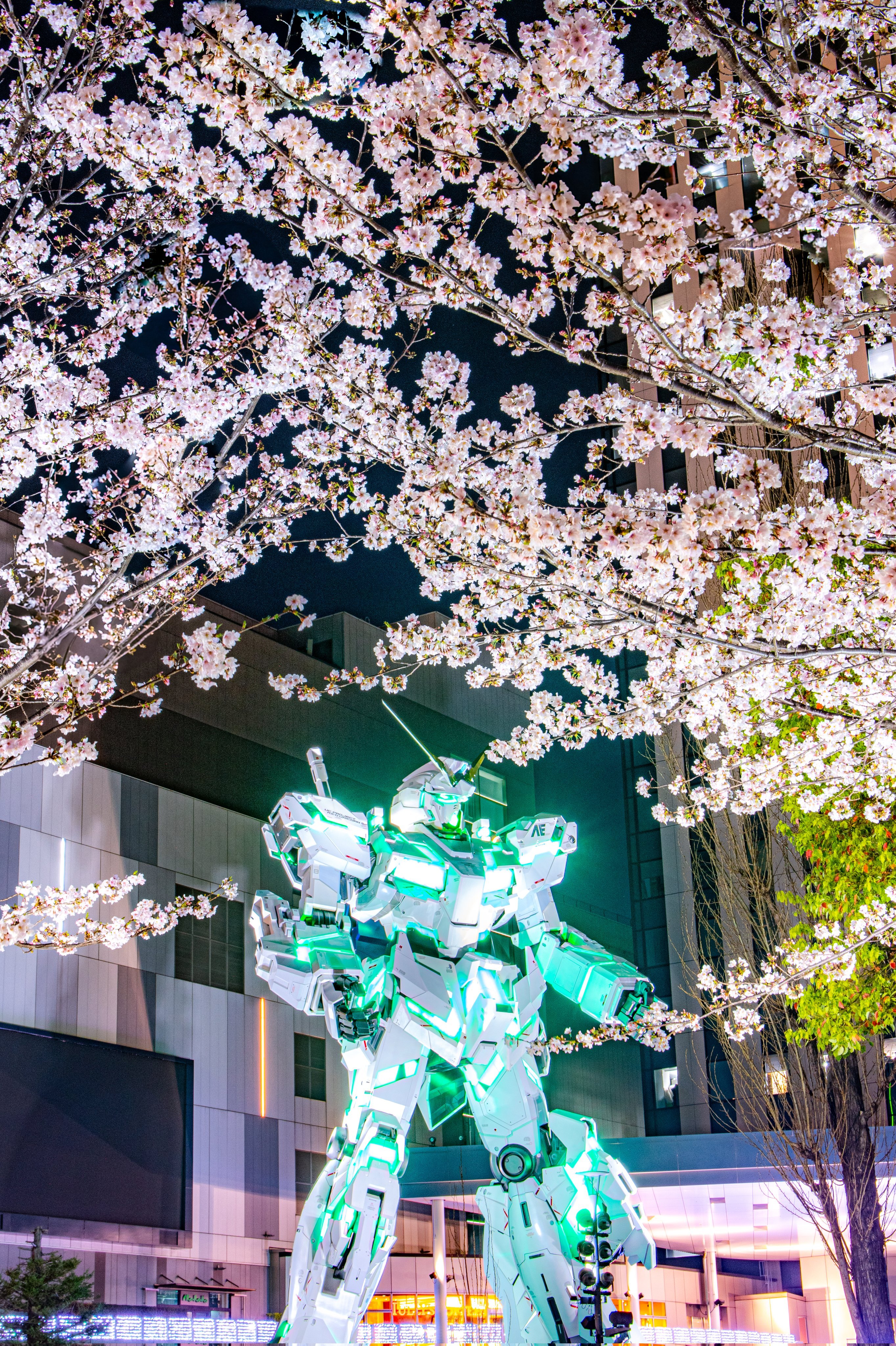 今年樱花盛花期的台场实物大独角兽(viaハスカップ07）高达