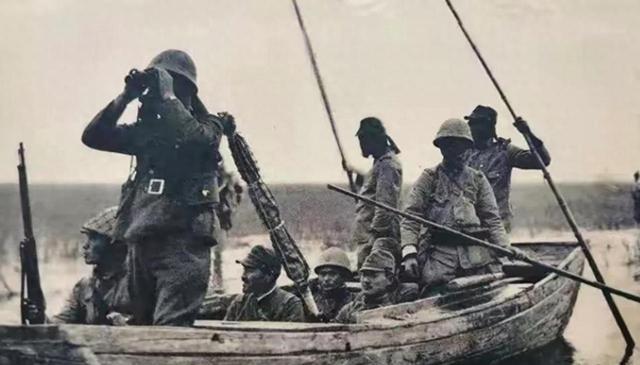 1944年，游击队因叛徒告密，躲进芦苇荡里啃了一个月芦苇，出来后却看到一名吃得白