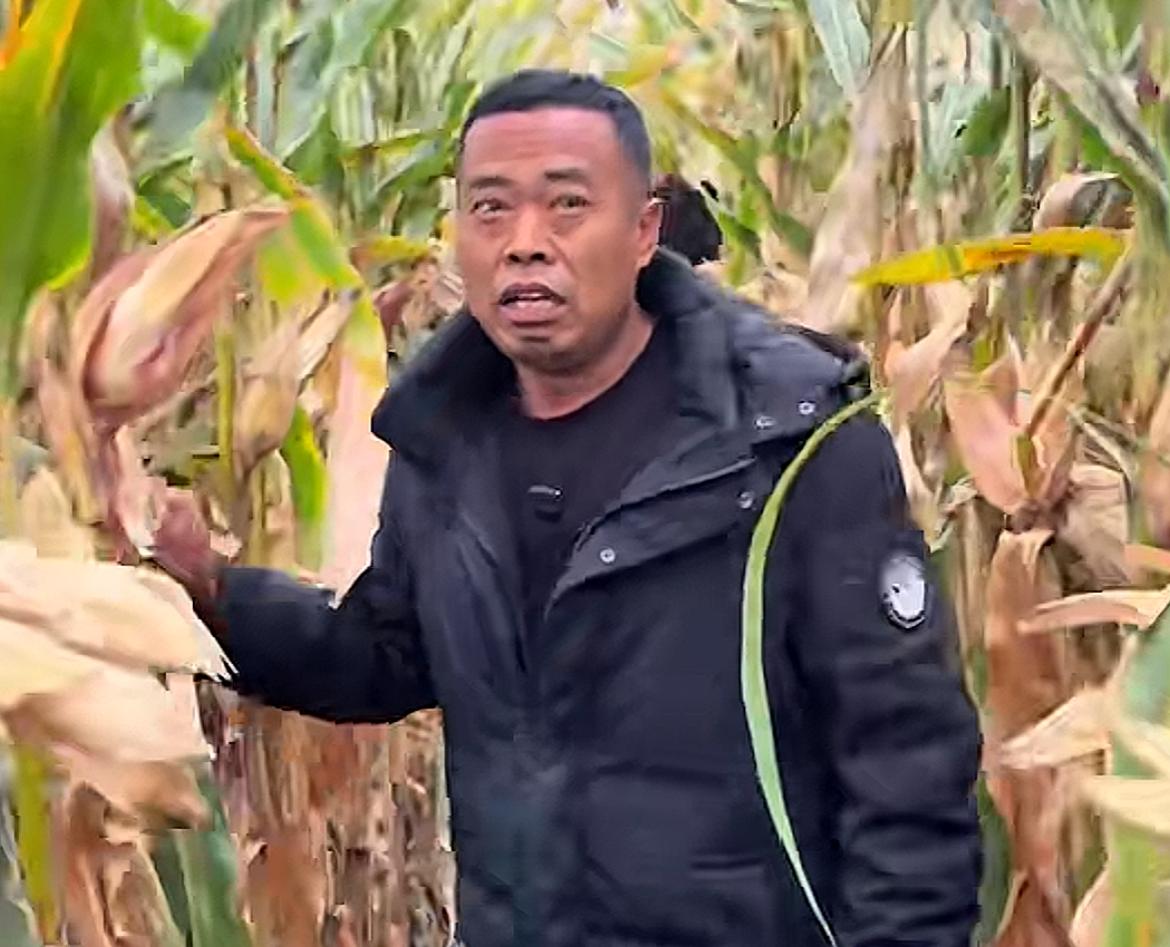 黑龙江“土地王”刘辉太无奈，也亏大了！玉米遭农户盗取，黄豆收完也遭附近农户随便