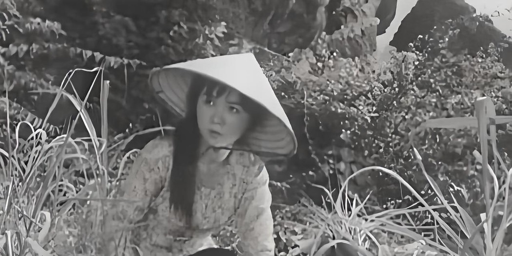 1975年，上百名美军惨死在越南美女特工阮文慧手下，美军悬赏10万未果，谁知4年