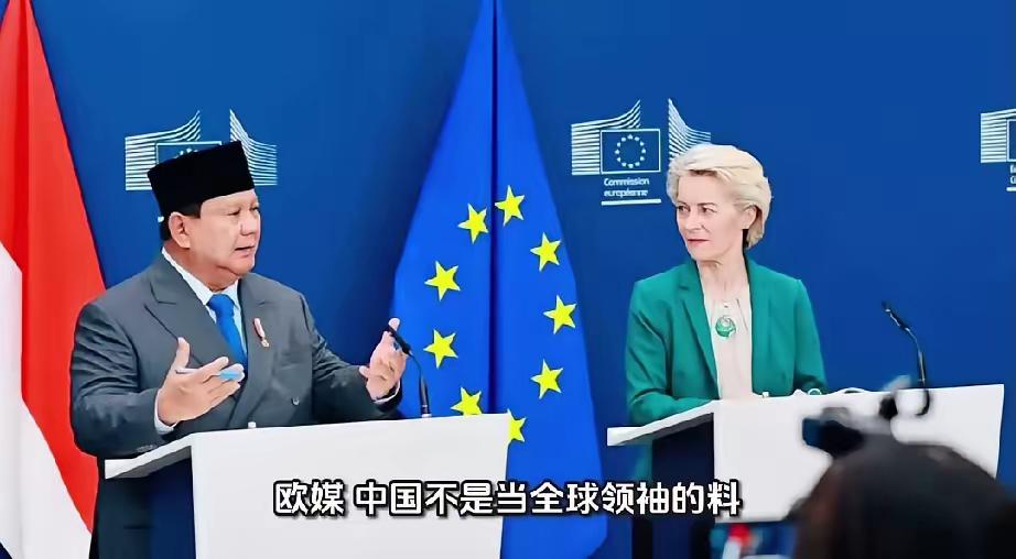 欧媒：中国不是当全球领袖的料，印尼比中国靠谱，欧洲应力挺印尼！最近瑞士的一个