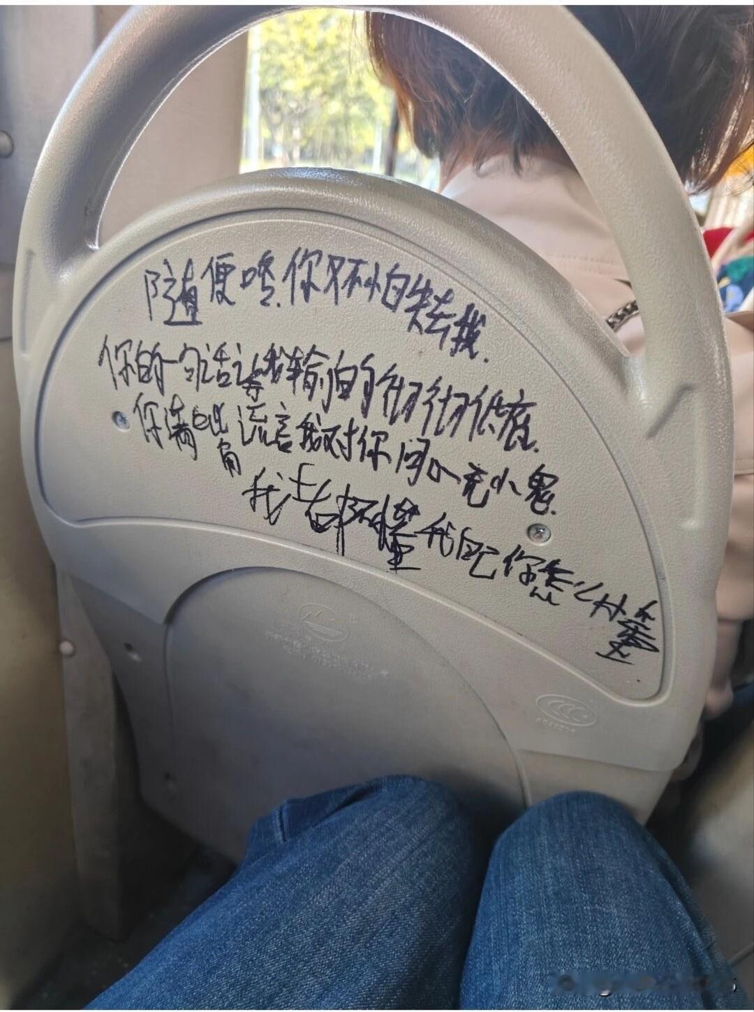 现在小年轻们都是这么疯魔的吗？好好的公交车座椅，涂鸦的一塌糊涂！也不知道算不