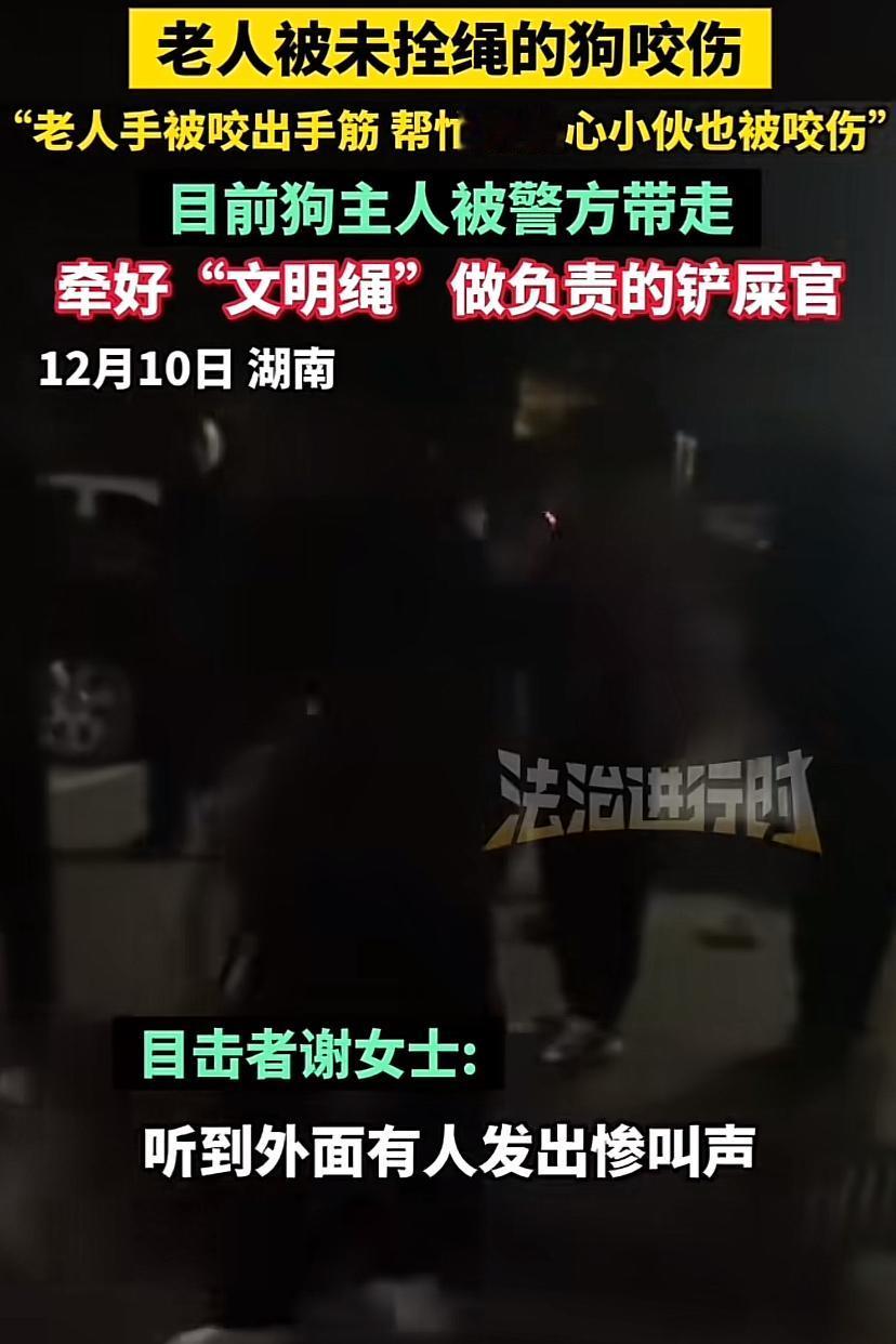 12月10日，湖南。老阿姨的手被狗咬出手筋，帮忙驱狗的2个小伙子也被咬伤。狗主