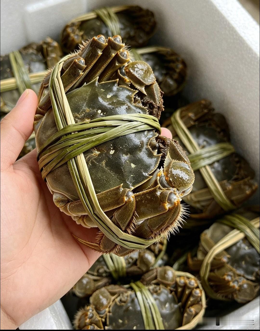 中秋刚过，大闸蟹直接降价过半，月饼三折甩卖：节前囤货的人，亏在哪了？中秋一过，菜市场、超市的价签，明