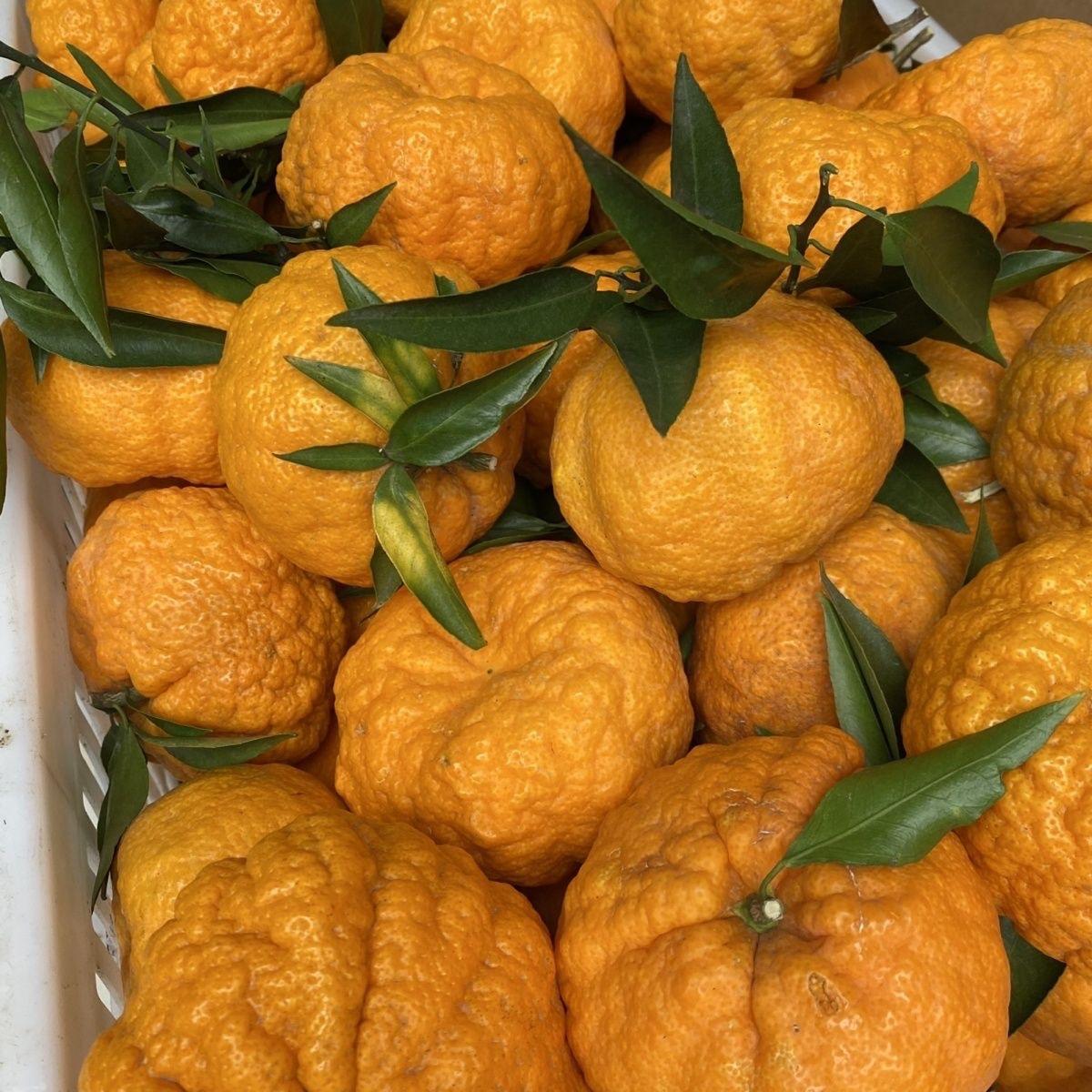 同事和老公在西安生存不下去了，她说要离职离开西安了，同事工资3500元，他老公在