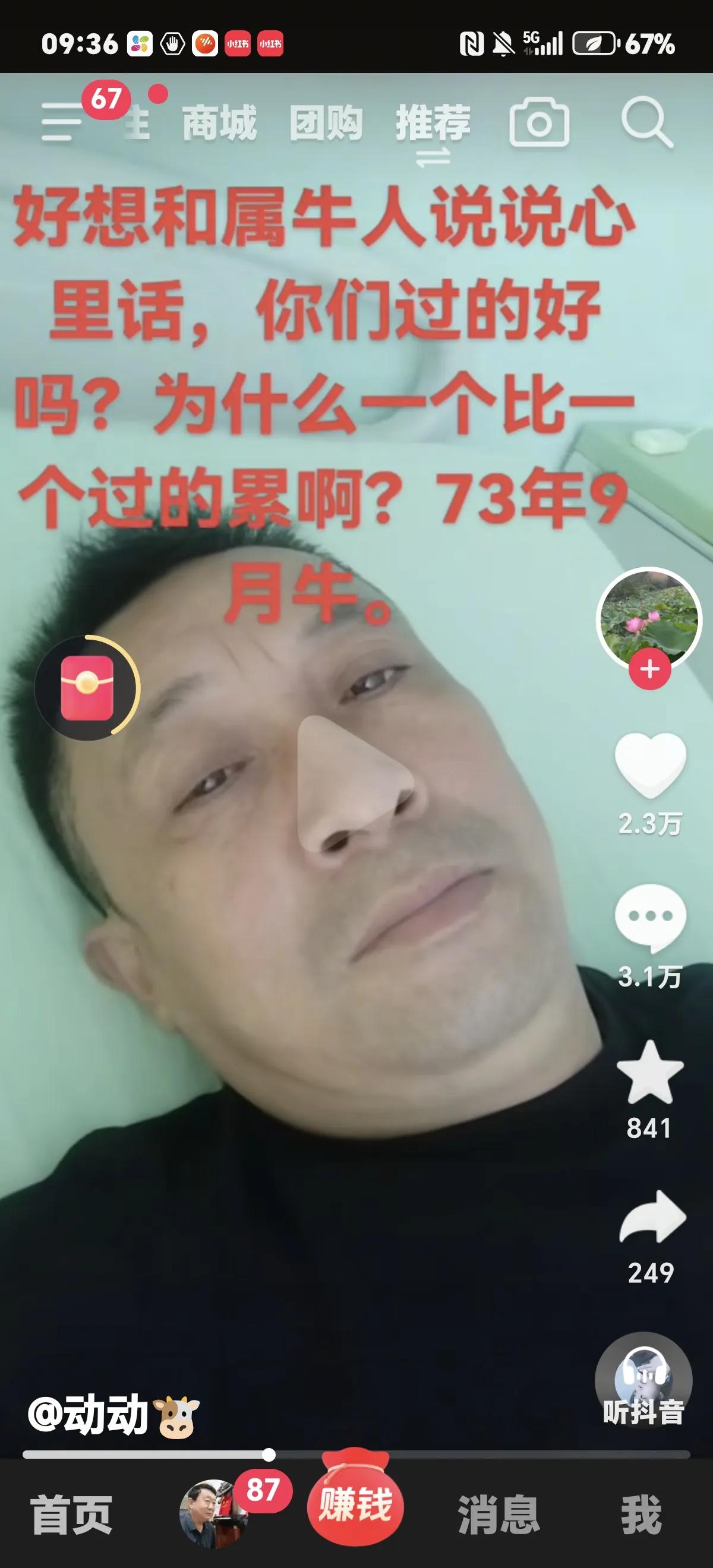 好多属牛的都说自己过得累，我也是属牛的，老公属猪的，一辈子没消停过，天天吵。
